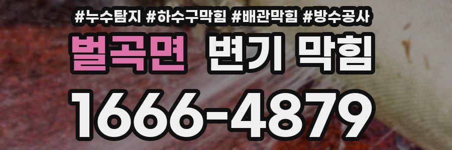 벌곡면 변기 막힘