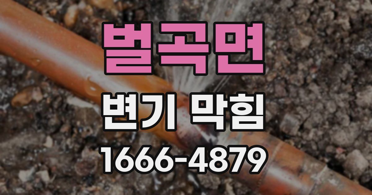 벌곡면 변기 막힘