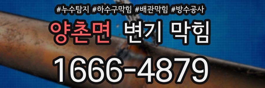 양촌면 변기 막힘