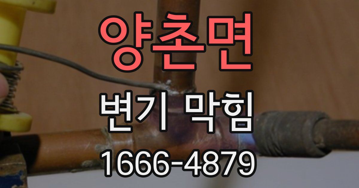 양촌면 변기 막힘