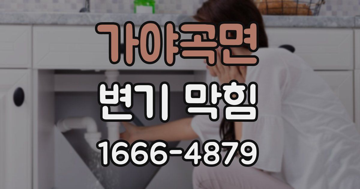 가야곡면 변기 막힘