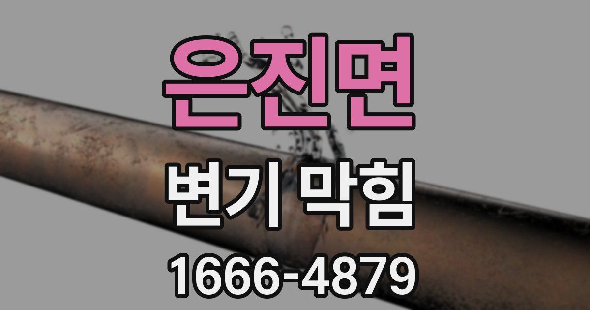 은진면 변기 막힘