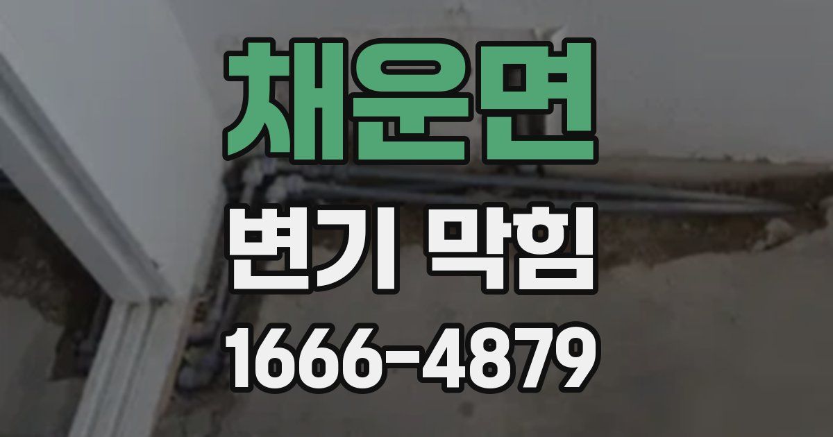 채운면 변기 막힘