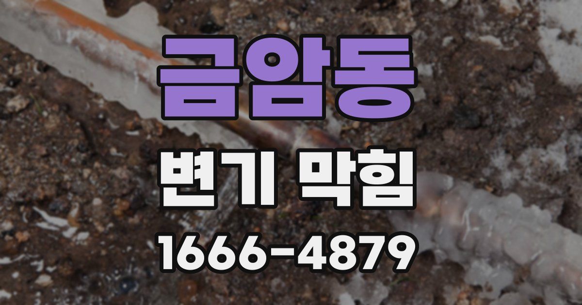 금암동 변기 막힘