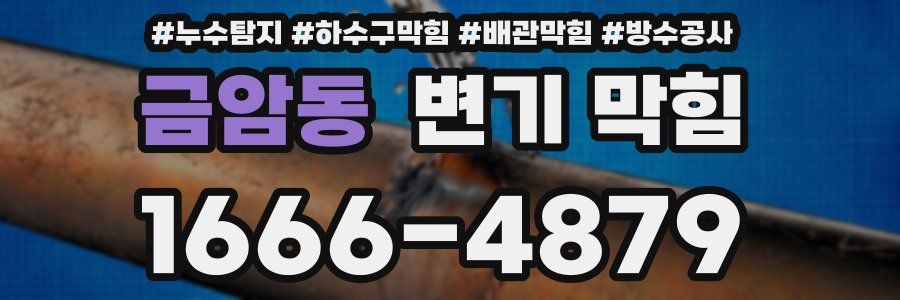 금암동 변기 막힘