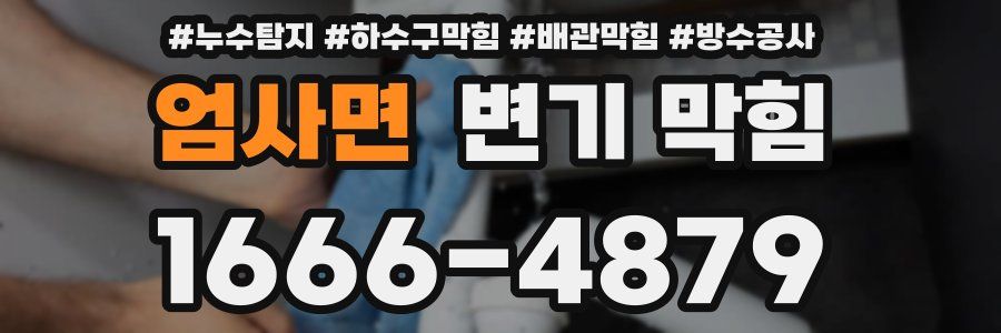 엄사면 변기 막힘