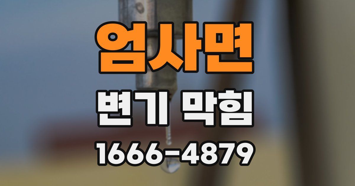 엄사면 변기 막힘
