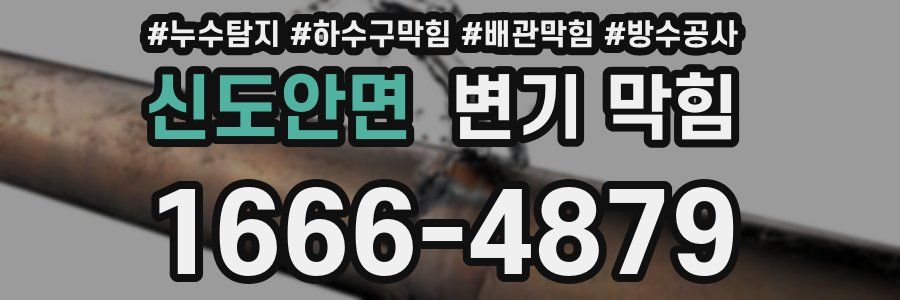 신도안면 변기 막힘