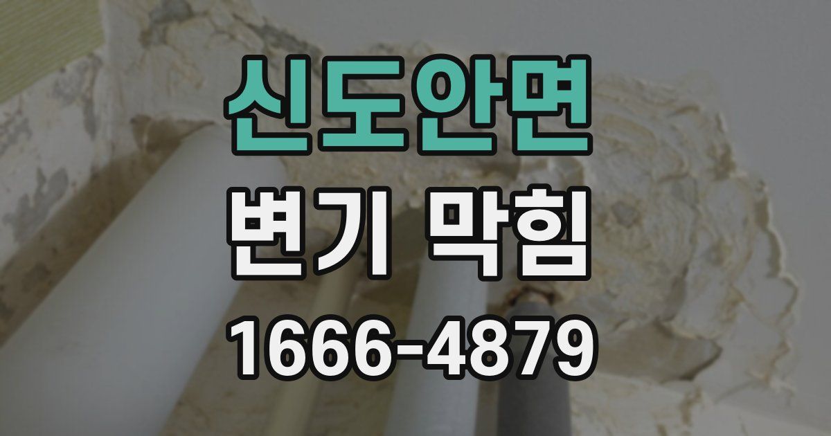 신도안면 변기 막힘