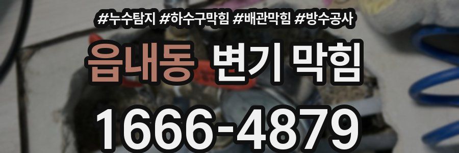읍내동 변기 막힘