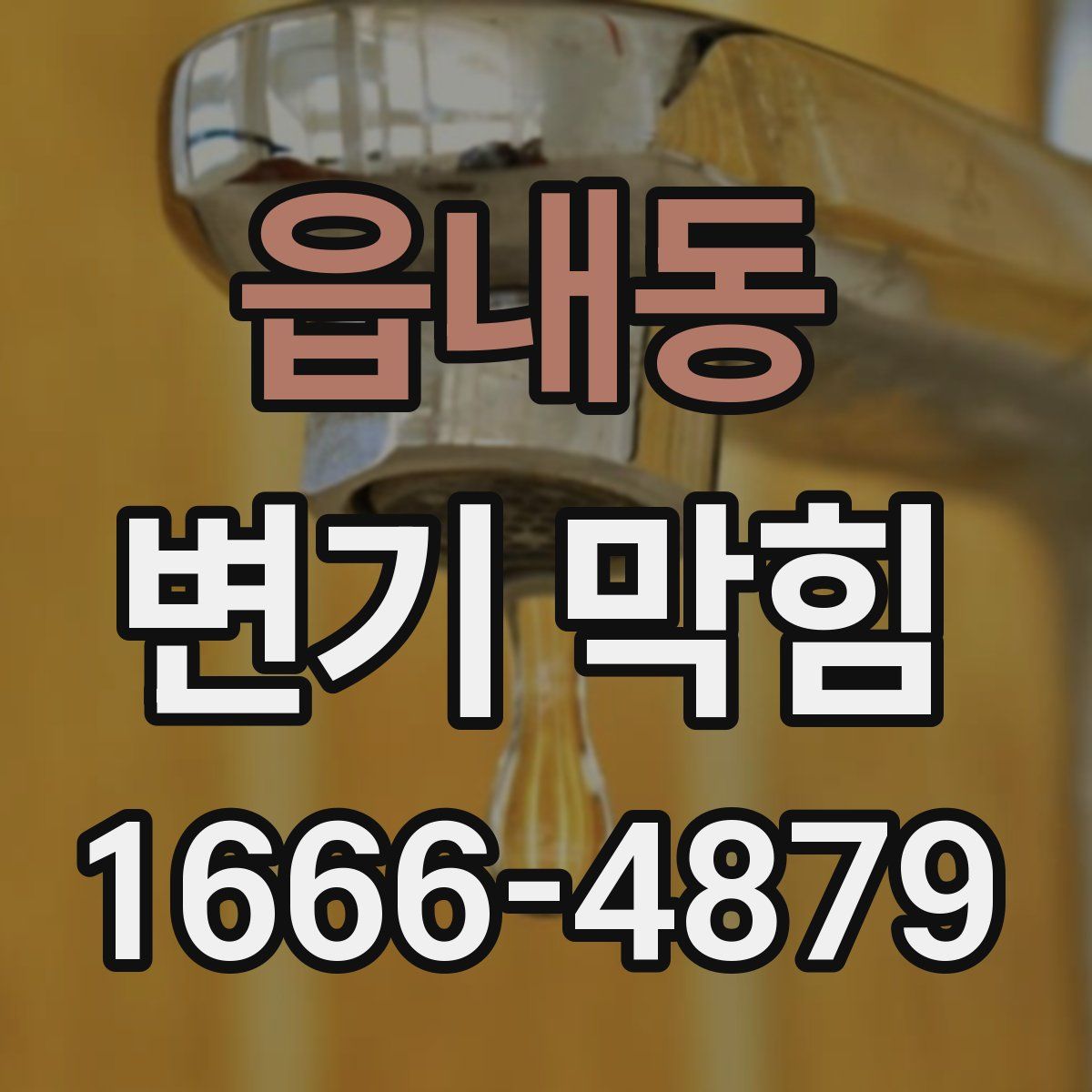 읍내동 변기 막힘