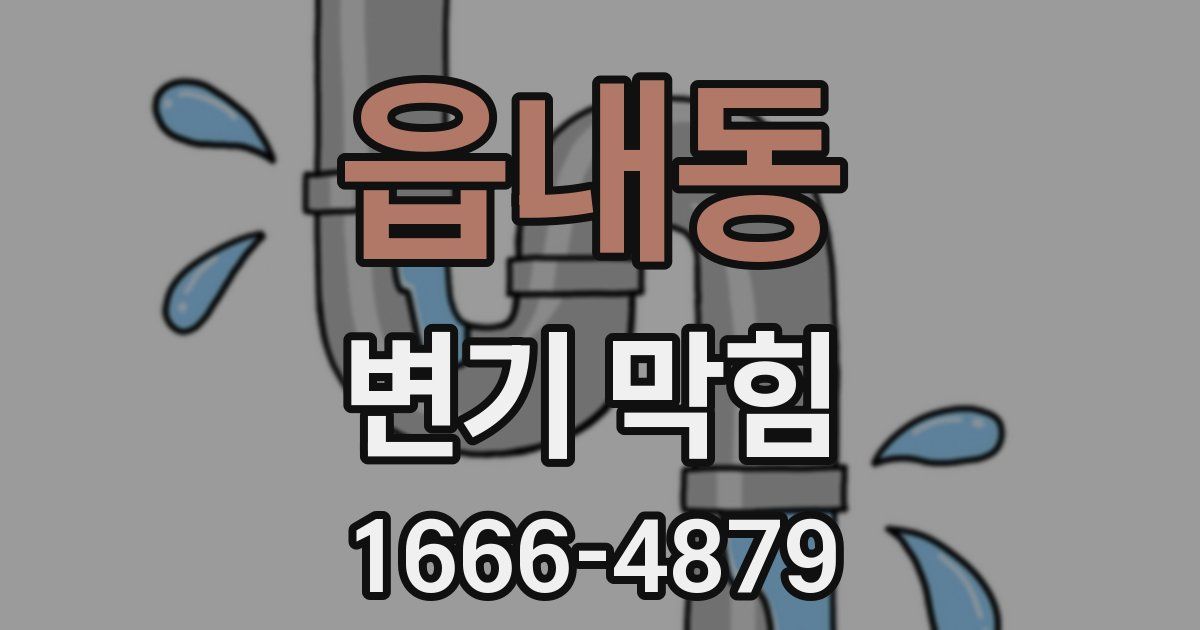 읍내동 변기 막힘
