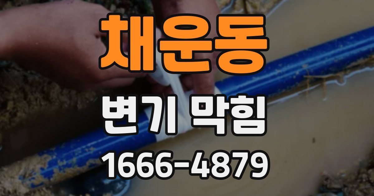 채운동 변기 막힘
