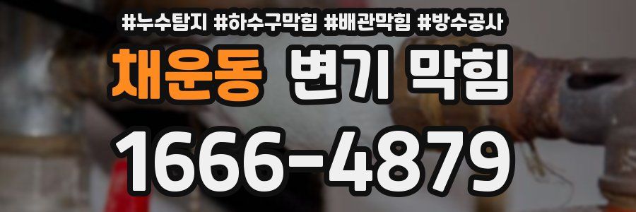 채운동 변기 막힘