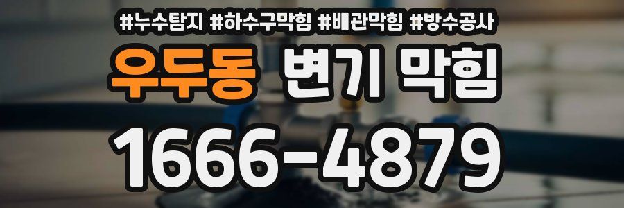 우두동 변기 막힘