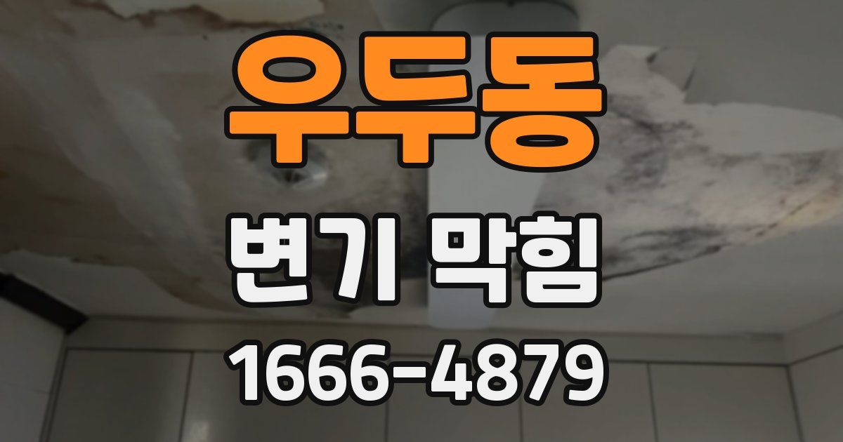 우두동 변기 막힘