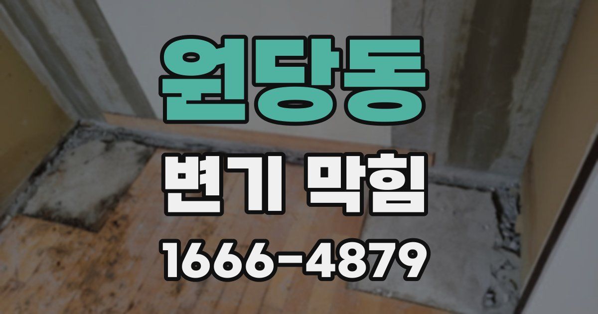 원당동 변기 막힘