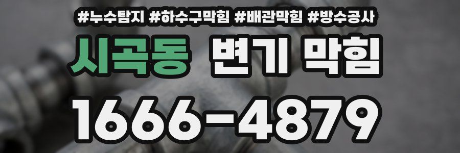 시곡동 변기 막힘