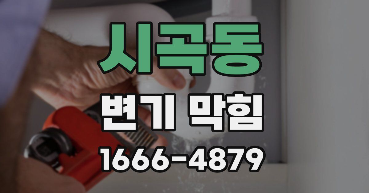 시곡동 변기 막힘