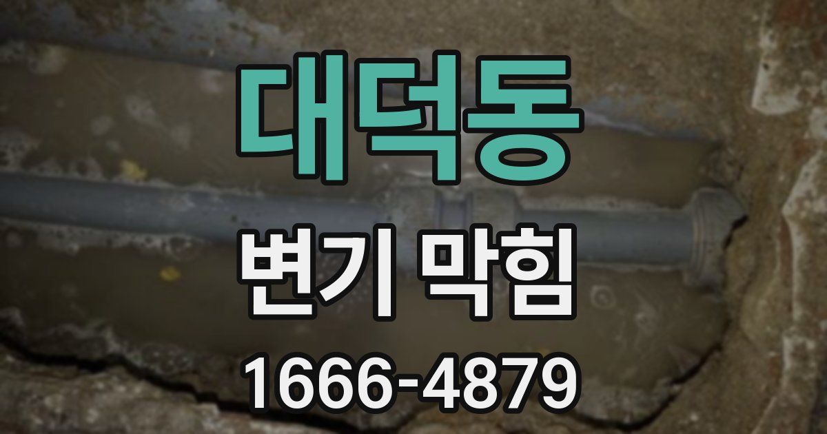 대덕동 변기 막힘