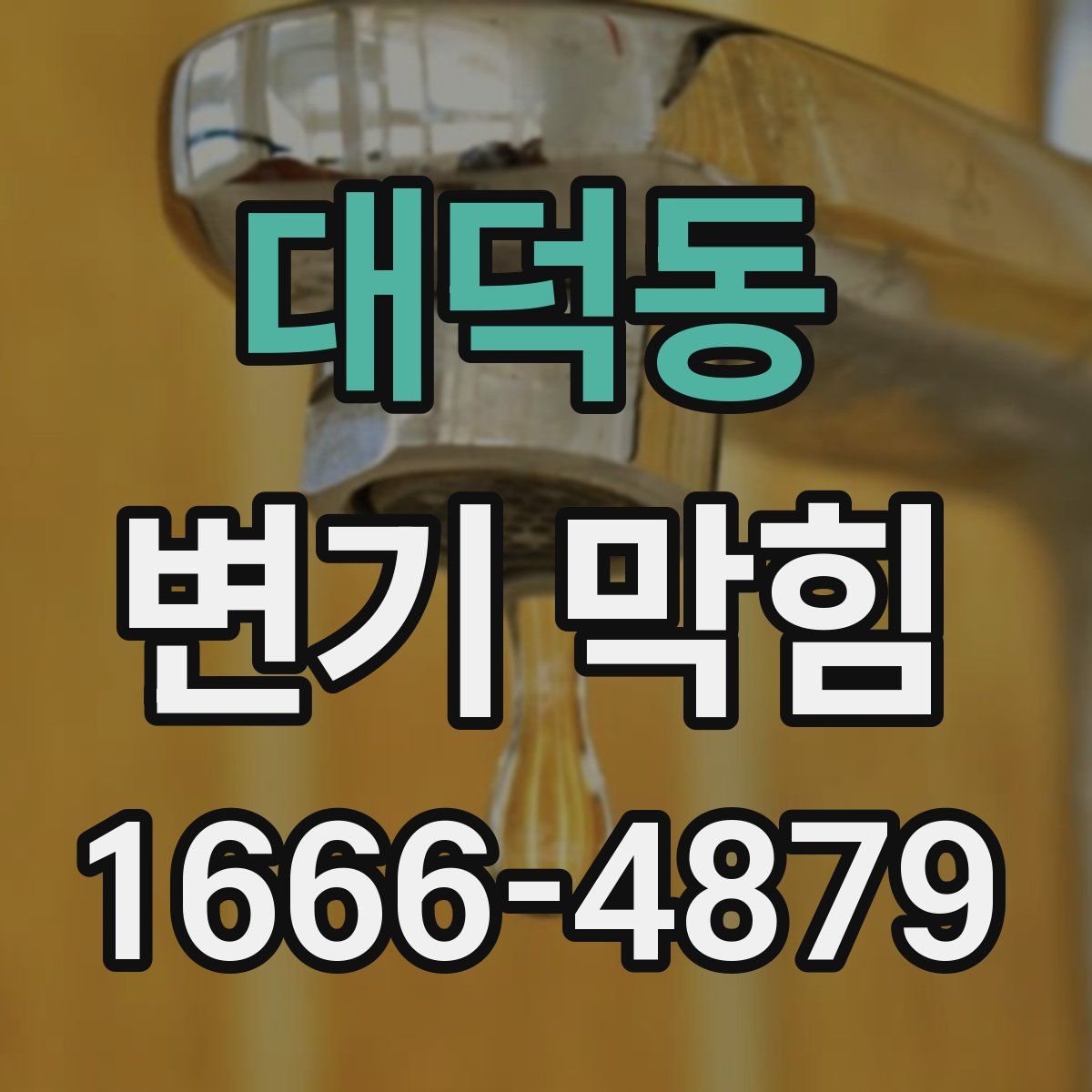 대덕동 변기 막힘