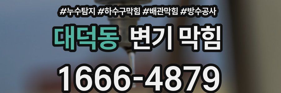 대덕동 변기 막힘