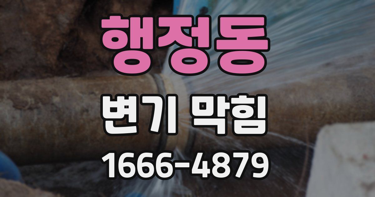 행정동 변기 막힘