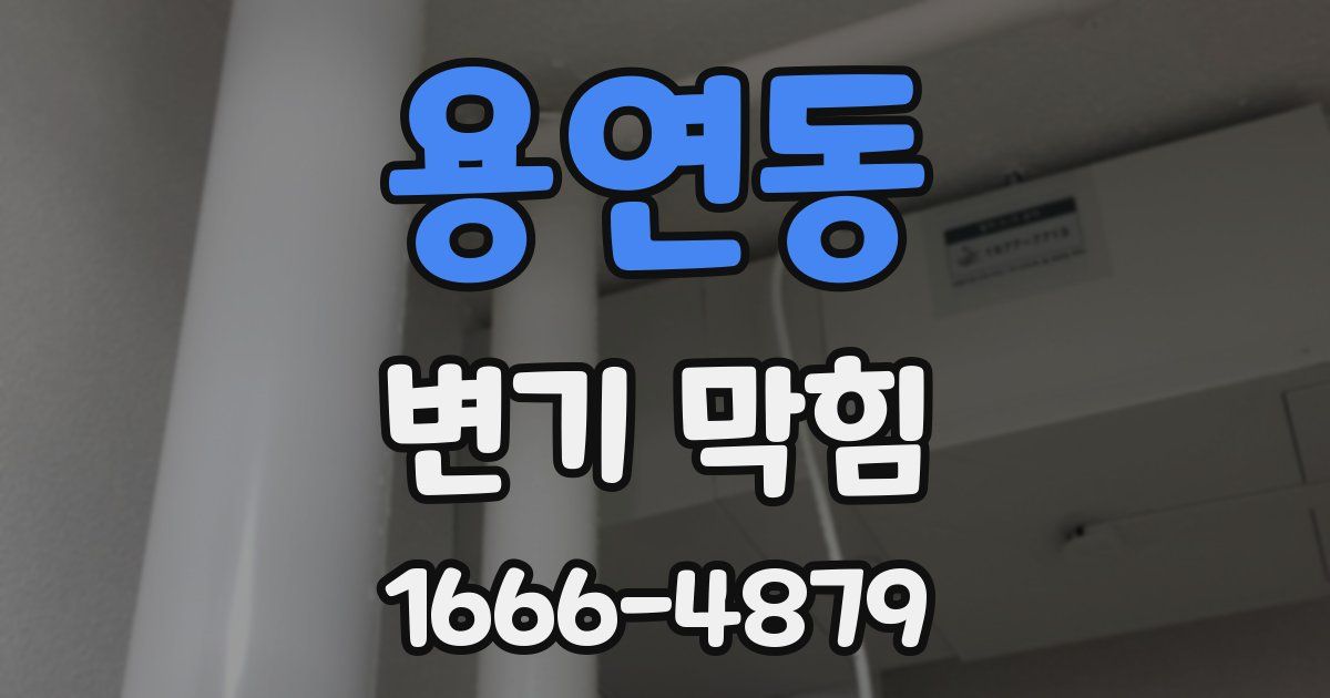 용연동 변기 막힘