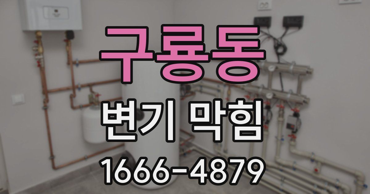 구룡동 변기 막힘