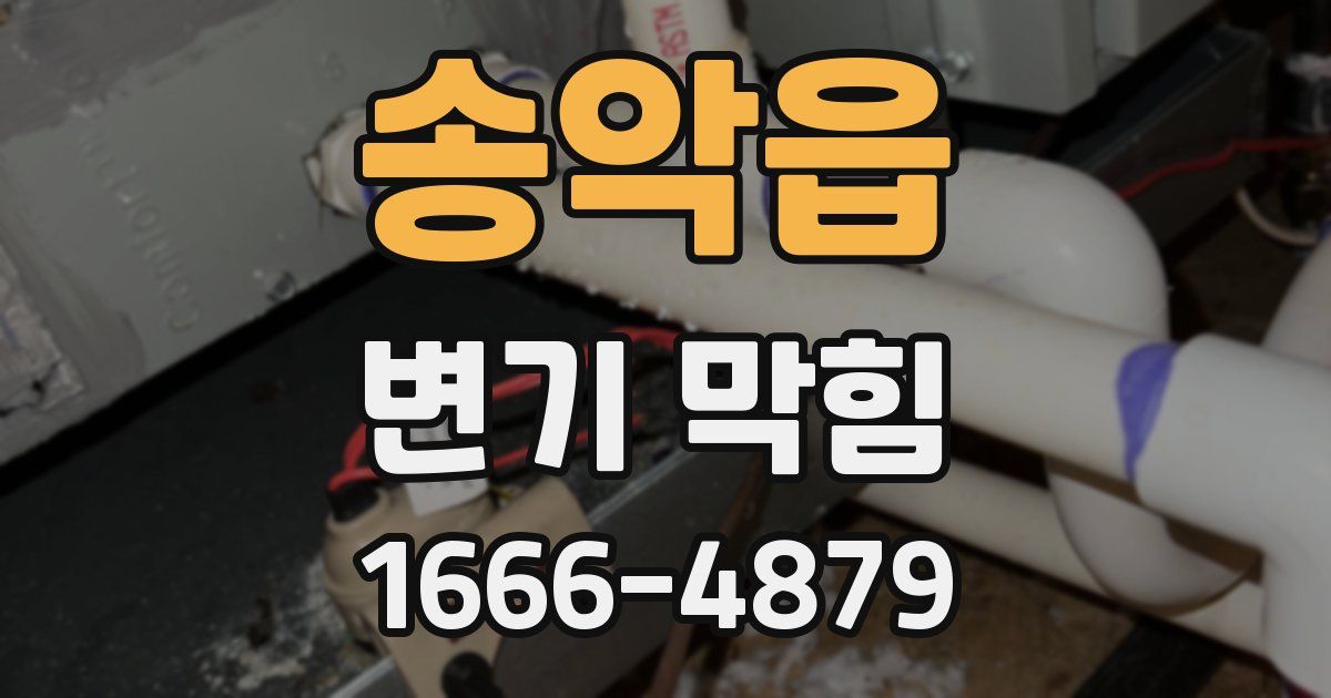 송악읍 변기 막힘