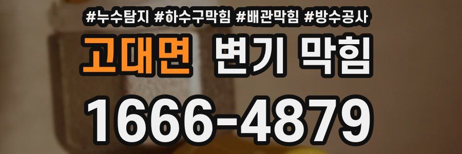 고대면 변기 막힘