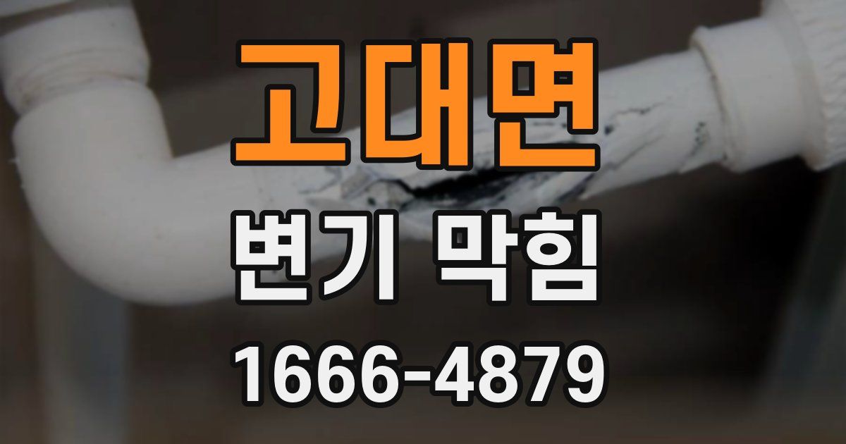 고대면 변기 막힘