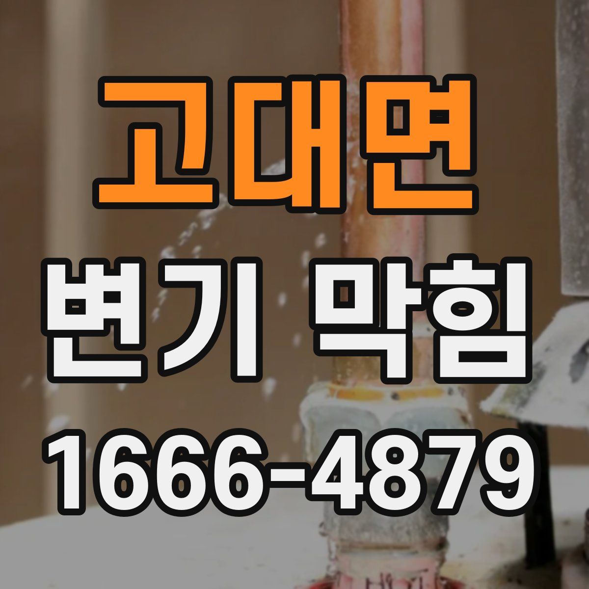 고대면 변기 막힘