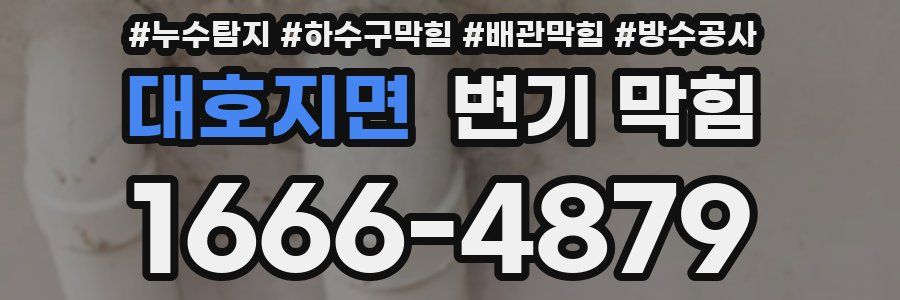 대호지면 변기 막힘