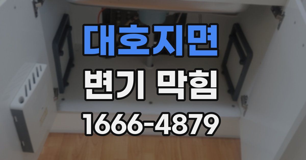 대호지면 변기 막힘