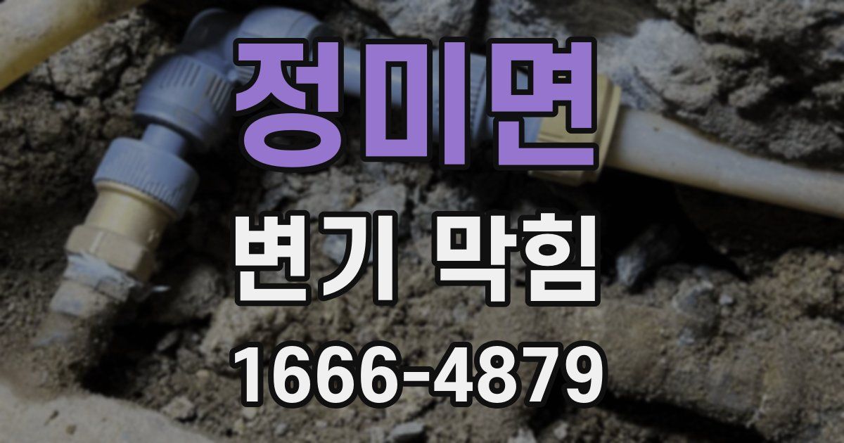 정미면 변기 막힘