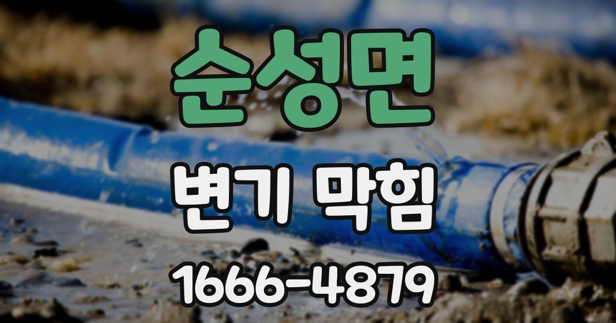순성면 변기 막힘