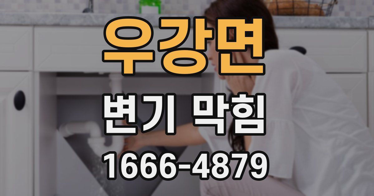 우강면 변기 막힘