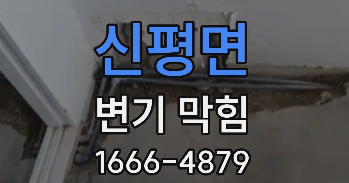 신평면 변기 막힘