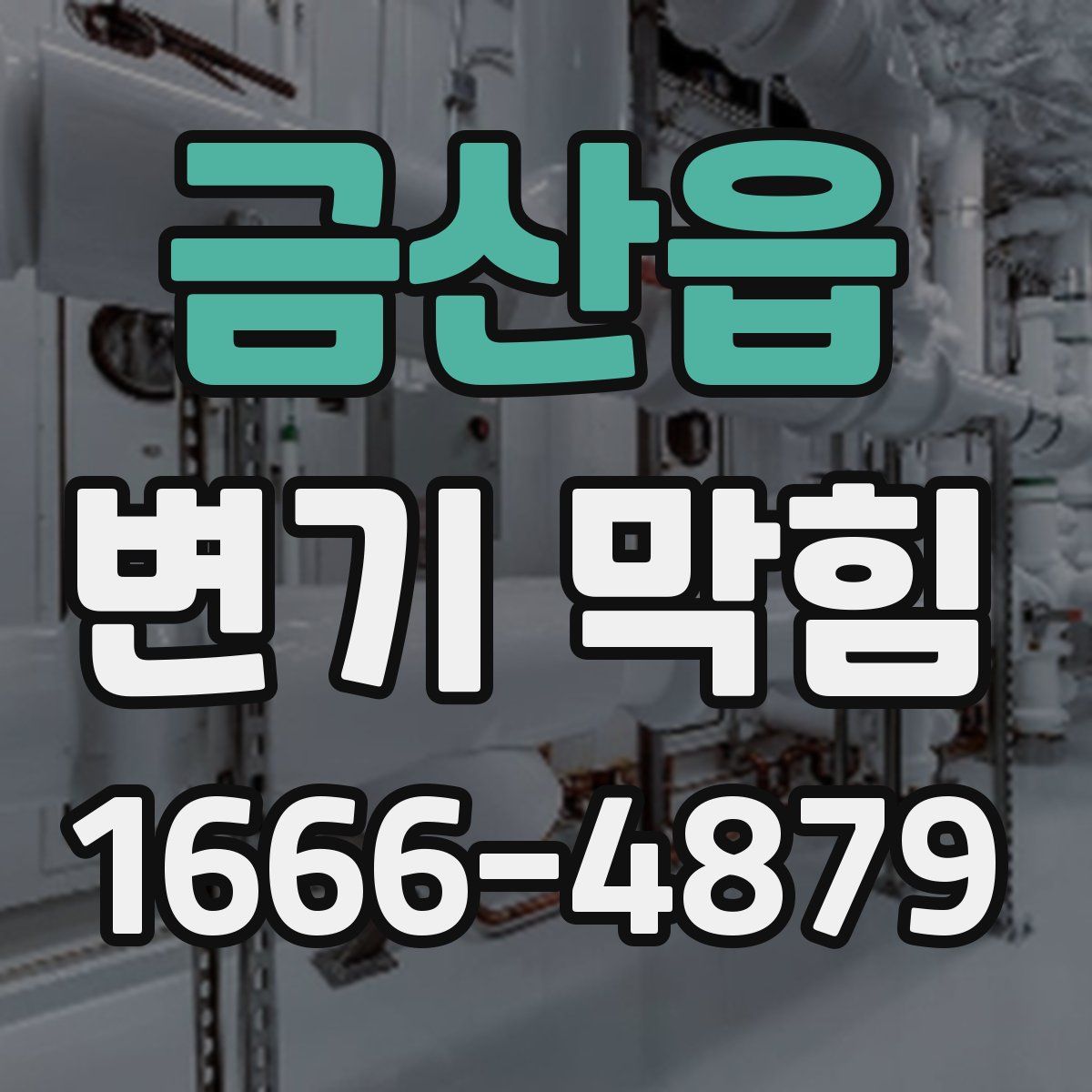 금산읍 변기 막힘