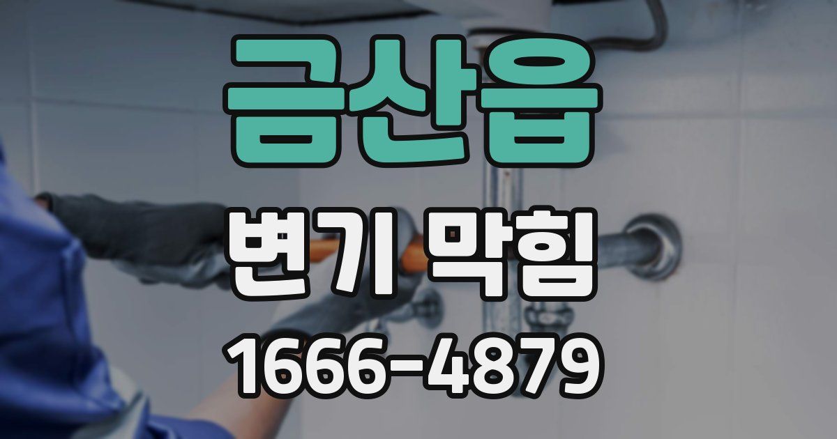 금산읍 변기 막힘