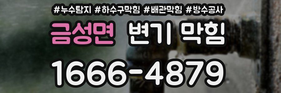 금성면 변기 막힘