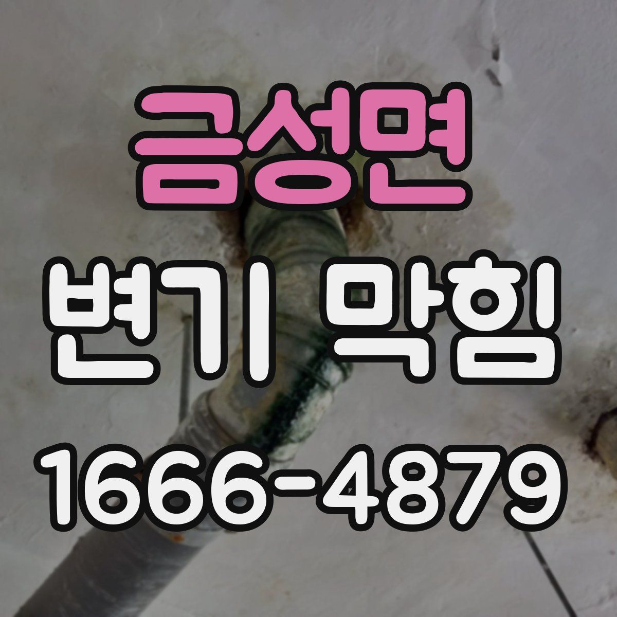 금성면 변기 막힘