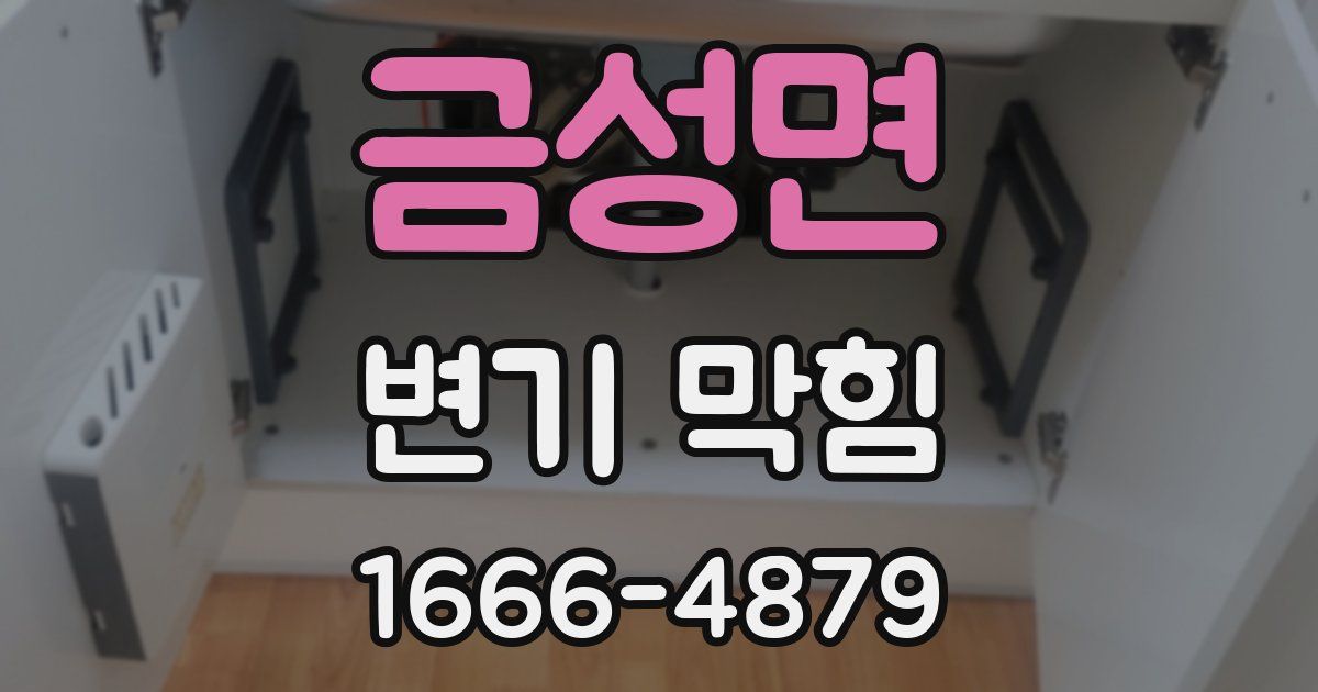 금성면 변기 막힘