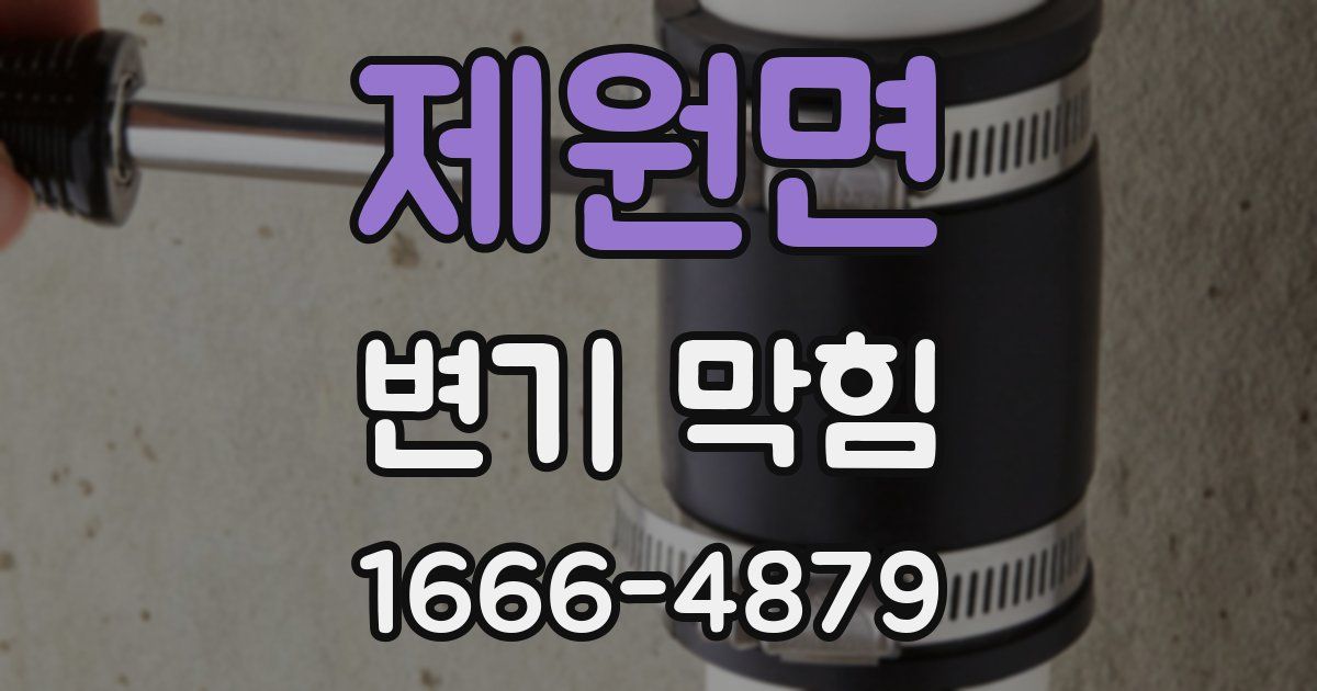 제원면 변기 막힘