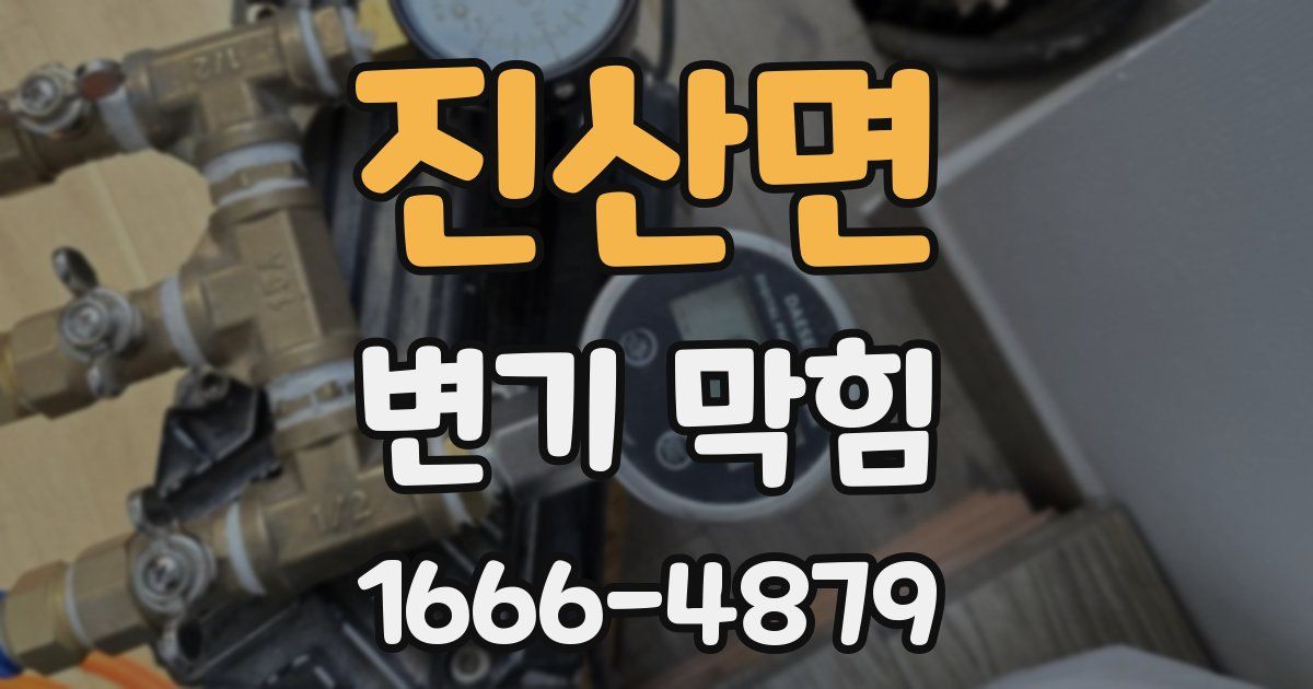 진산면 변기 막힘