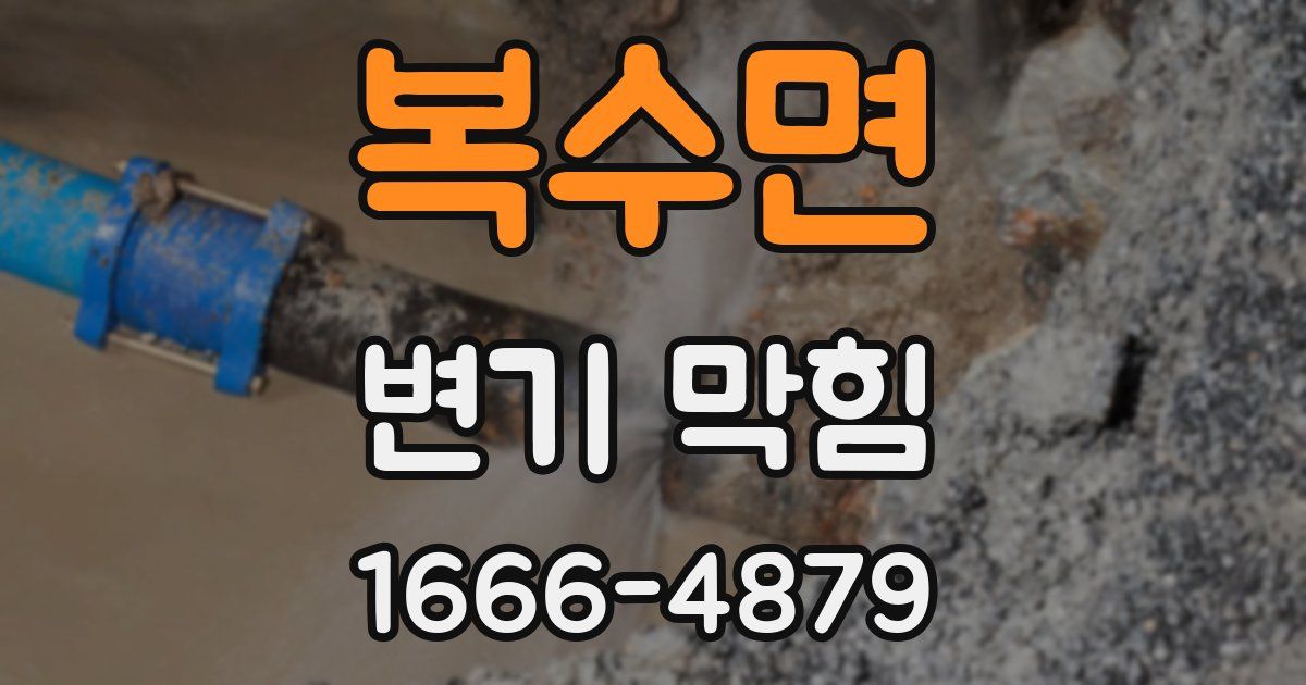 복수면 변기 막힘