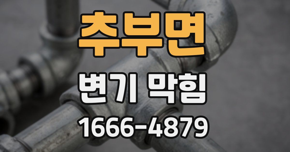 추부면 변기 막힘