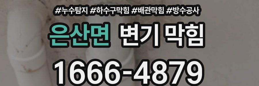 은산면 변기 막힘