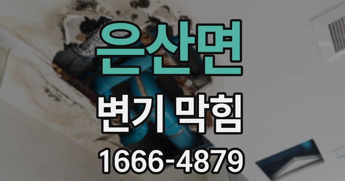 은산면 변기 막힘